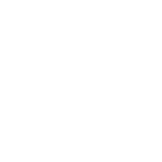 Smart icon