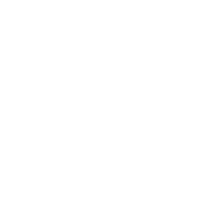care icon