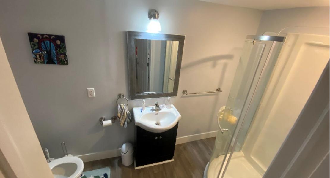 Bathroom with wood floors, a mirror with vanity and sink, toilet and stand-up shower 